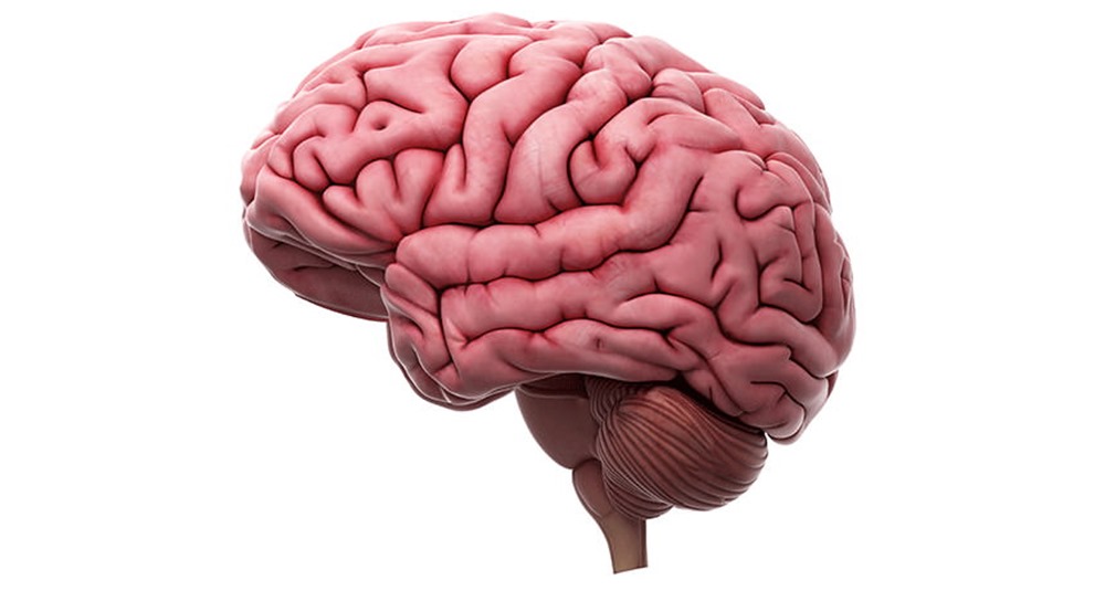 Les stimulations électriques d’un implant cérébral contrôlé par ordinateur améliorent les capacités mentales dans un essai sur l’humain