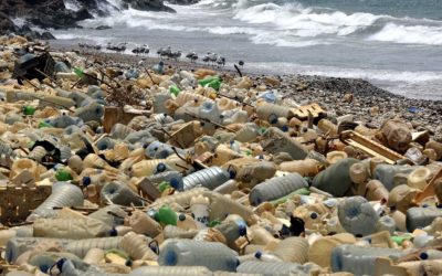 La mer Méditerranée est envahie par des plastiques venus d’ailleurs
