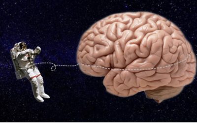 Le cerveau des astronautes est remodelé lors de missions spatiales de longue durée afin de s’adapter à un environnement cosmique