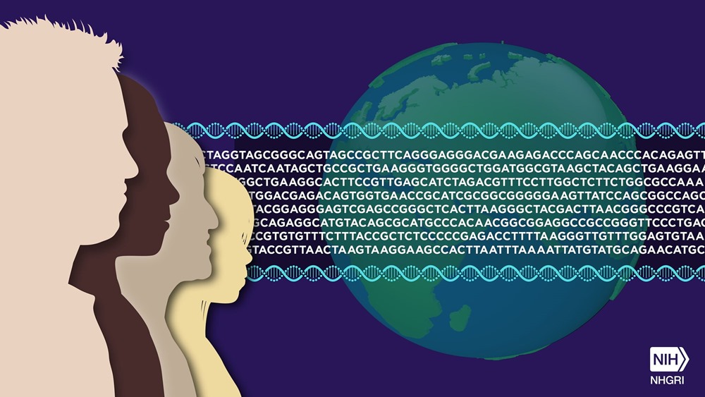 Des scientifiques ont enfin cartographié l’ensemble du génome humain