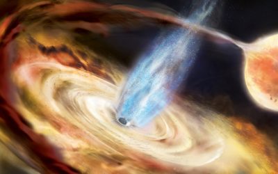 Les “échos” des trous noirs alors qu’ils se nourrissent de matière stellaire