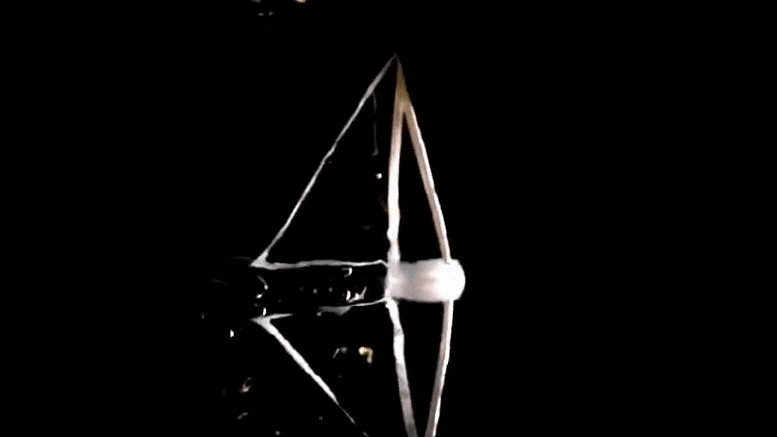 Un robot souple qui pratique la nage papillon pour se déplacer à une vitesse inégalée