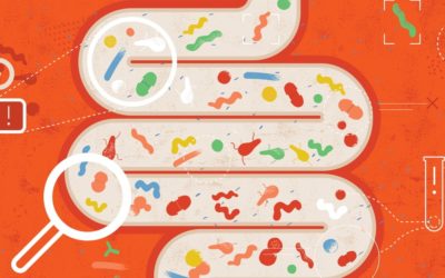 Il se pourrait que nos bactéries intestinales nous aident à faire du sport en diffusant de la dopamine dans le cerveau
