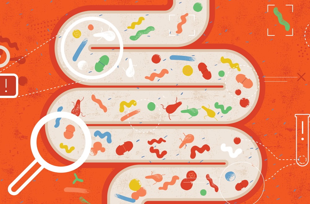 Il se pourrait que nos bactéries intestinales nous aident à faire du sport en diffusant de la dopamine dans le cerveau