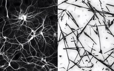 Des réseaux de nanofils d’argent semblent apprendre et mémoriser comme le cerveau humain