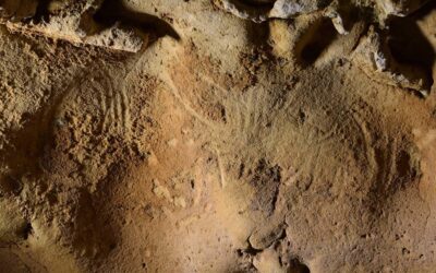 Des traces sur la paroi d’une grotte en France pourraient constituer le plus ancien exemple d’art néandertalien