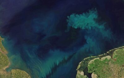 Les océans verdissent en raison du changement climatique et cela pourrait avoir une incidence sur le développement de la vie en son sein