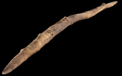 Il y a 300 000 ans, des humains auraient chassé en lançant ce bâton façon boomerang