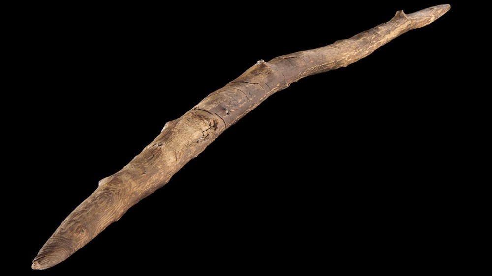 Il y a 300 000 ans, des humains auraient chassé en lançant ce bâton façon boomerang