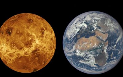 Vénus a probablement connu une tectonique des plaques comme la Terre, introduisant l’idée d’une ancienne vie
