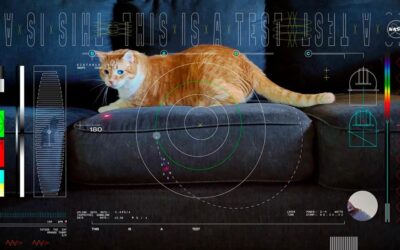 La NASA utilise un laser pour diffuser la première vidéo dans les profondeurs de l’espace et il s’agit bien sûr d’une vidéo de chat
