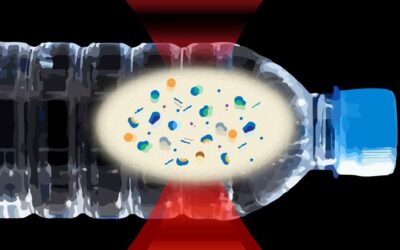 L’eau en bouteille regorge de microplastiques et de nanoplastiques