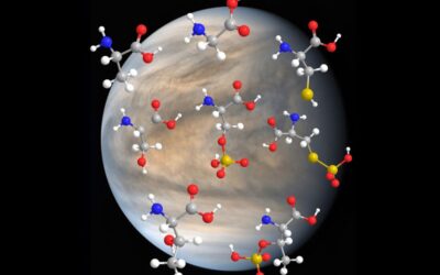La vie pourrait survivre aux nuages d’acide sulfurique de Vénus