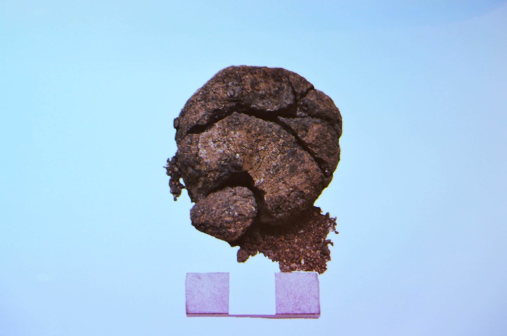 Pain perdu : Découverte d’un pain vieux de 8 600 ans en Turquie