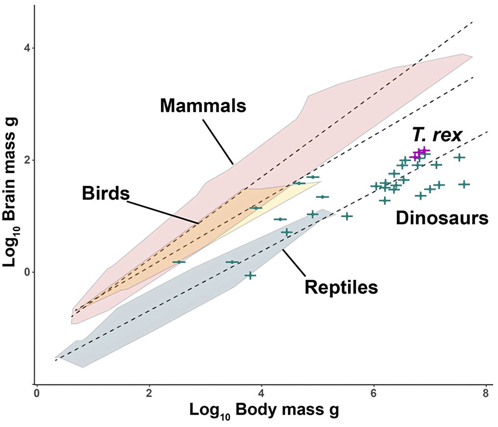 Dino intelligence graph 1 24