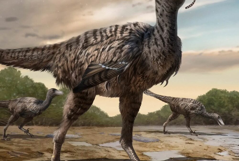 Découverte en Chine d’empreintes de dinosaures troodontides géants