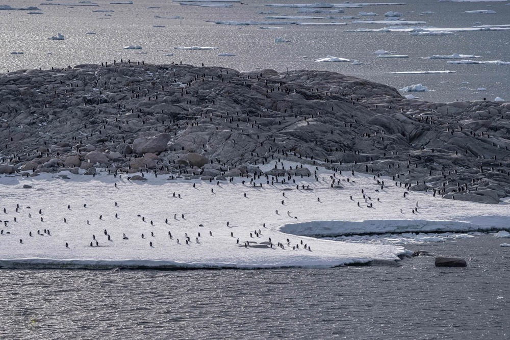 En Antarctique, le trou dans la couche d’ozone constitue une menace pour la vie