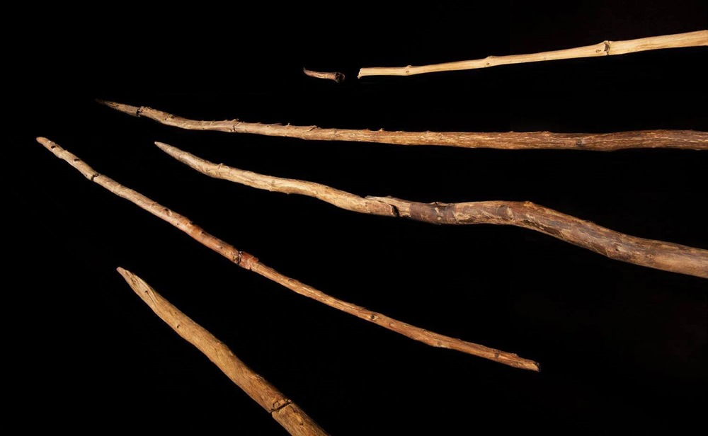 Des lances en bois permettent de remonter il y a 300 000 ans dans l’histoire de l’humanité
