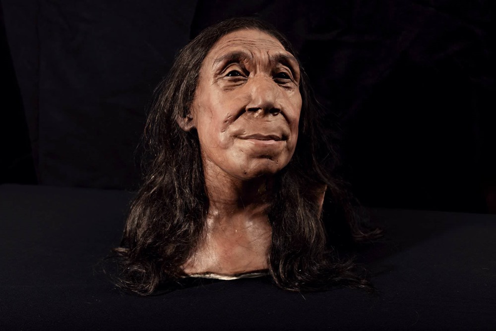 Des chercheurs reconstituent le visage d’une Néandertalienne à partir d’un crâne écrasé vieux de 75 000 ans